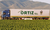 Straßentransport von Kühlfahrzeugen Gemüse